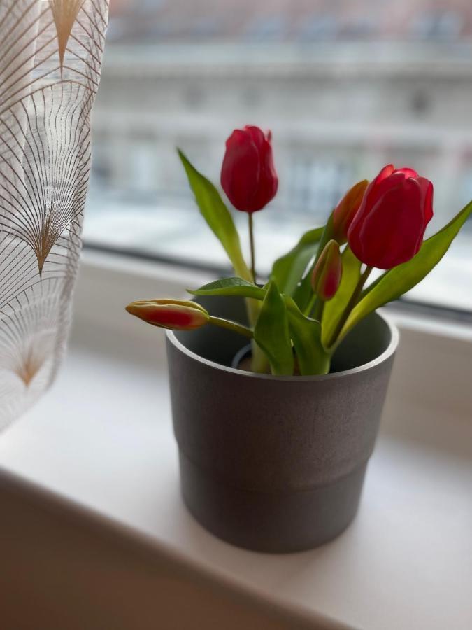 Mollart Apartment Wiedeń Zewnętrze zdjęcie